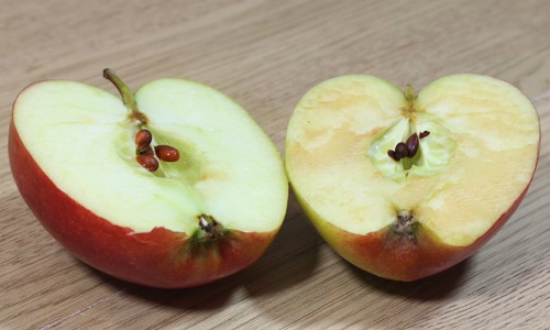 Sự oxy hóa của quả táo