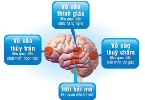 Tập thể dục k&iacute;ch th&iacute;ch n&atilde;o bộ
