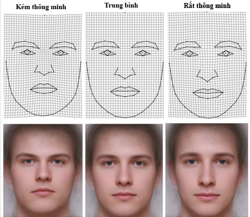 Ong mật nhận diện khuôn mặt