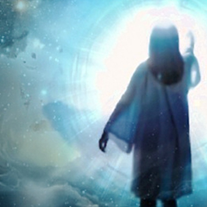 Kết nối giữa mọi sự sống