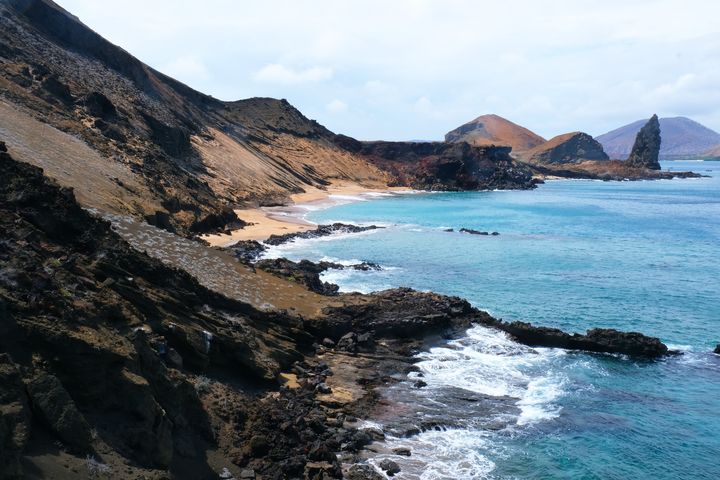 Rùa Galápagos
