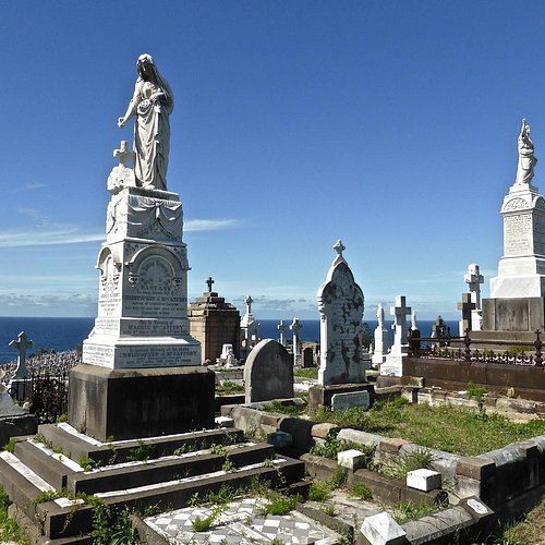 Linh hồn lang thang ở Rookwood