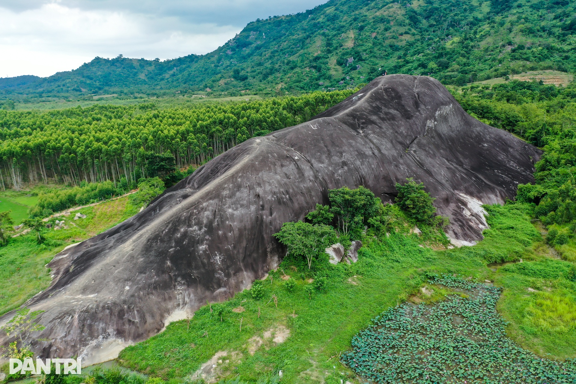 đá voi tự nhiên khổng lồ