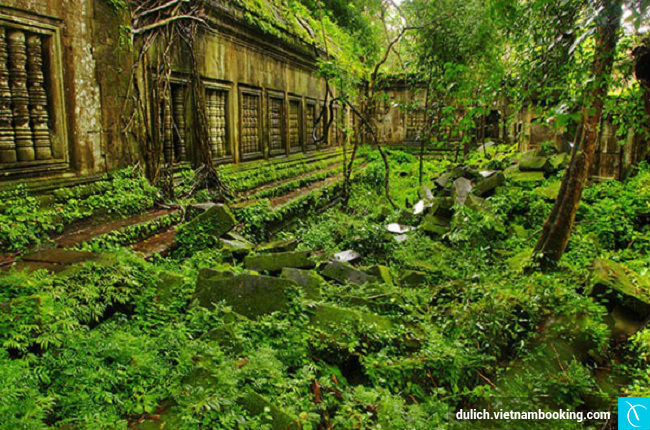 Đền Mỹ Sơn, Việt Nam