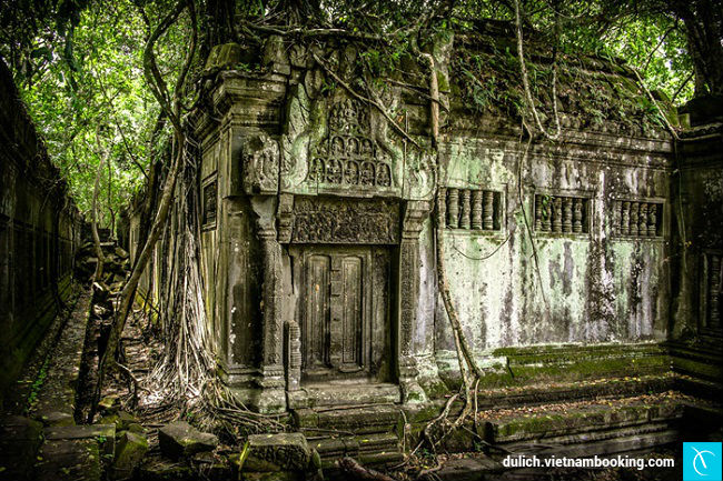 Đền cổ Beng Mealea giữa rừng