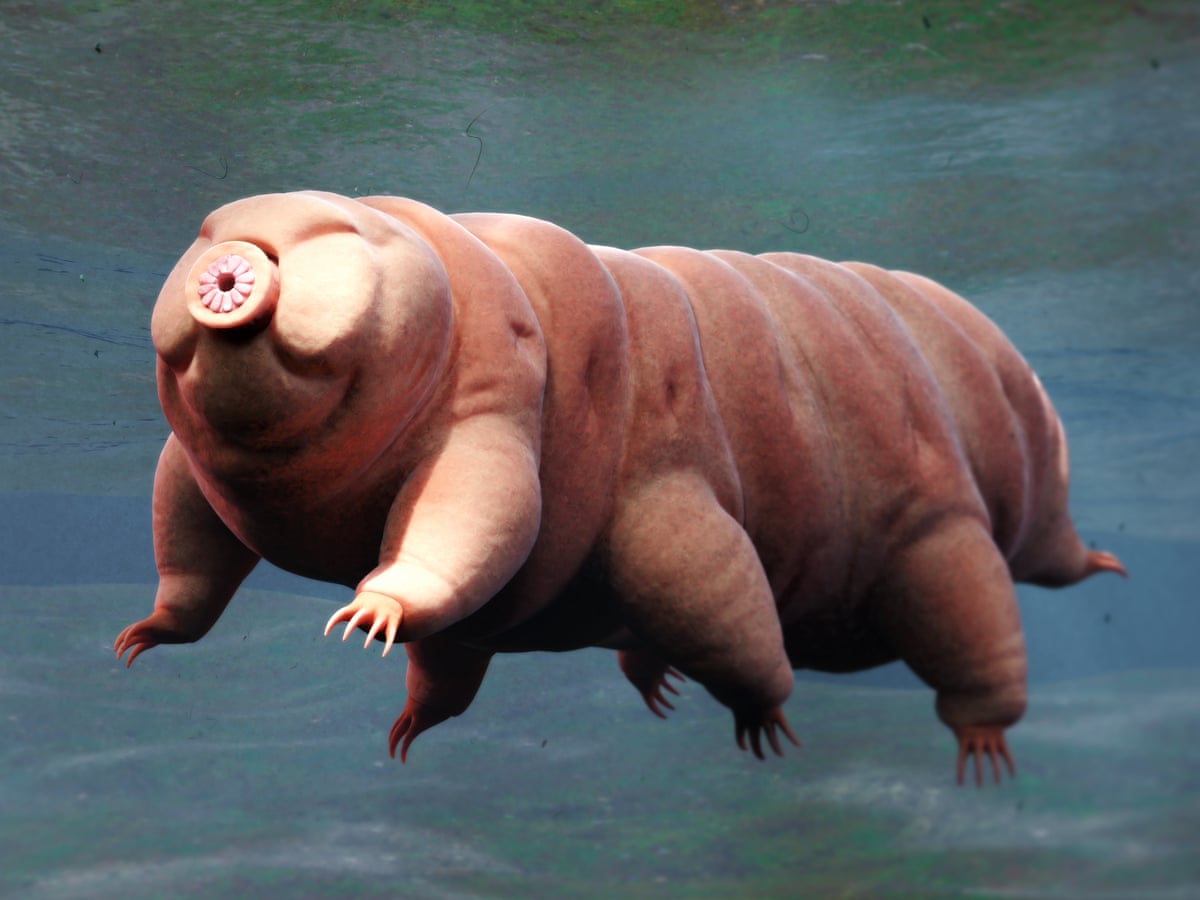 Hình ảnh minh họa Tardigrade trong môi trường không gian hoặc điều kiện cực hạn với hiệu ứng khoa học vũ trụ