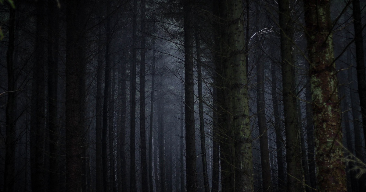 Hình minh họa không gian vũ trụ tối tăm thể hiện nguy cơ các nền văn minh đối đầu trong Dark Forest theory