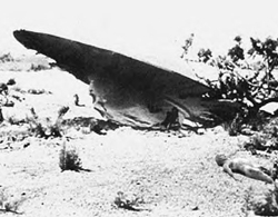 Tái hiện sự kiện Roswell và cuộc điều tra về vật thể bí ẩn rơi tại New Mexico năm 1947