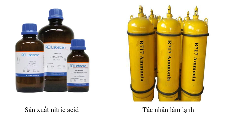 So sánh cấu trúc phân tử giữa nước và ammonia trong môi trường sinh học giả định